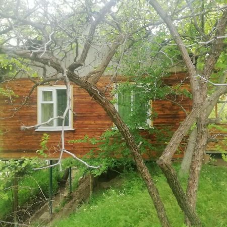 Park-Hotel Khoren'S Lake Арени Экстерьер фото